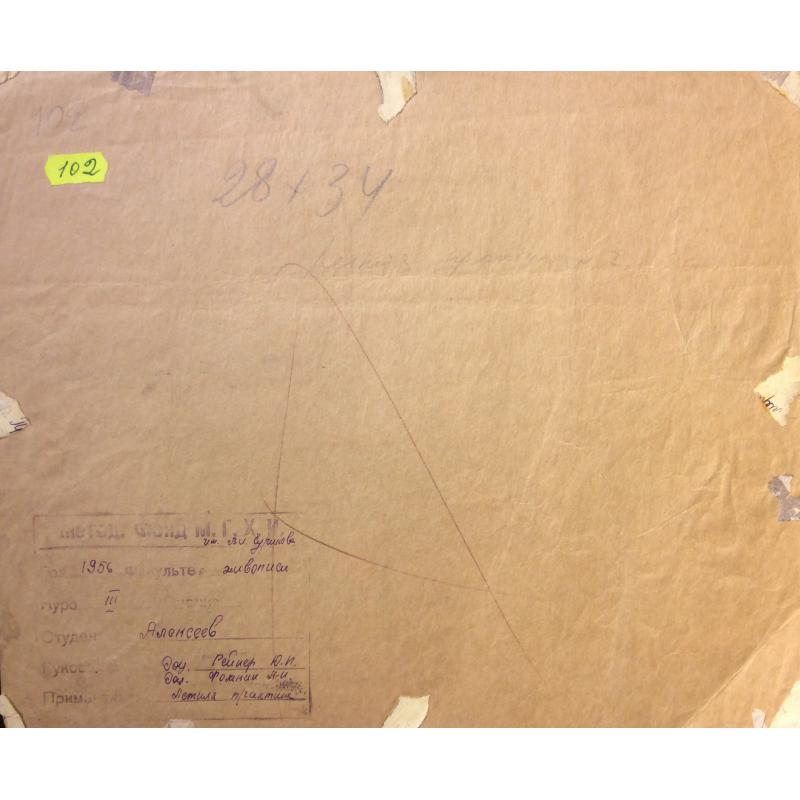 Алексеев А. Е. На стройке