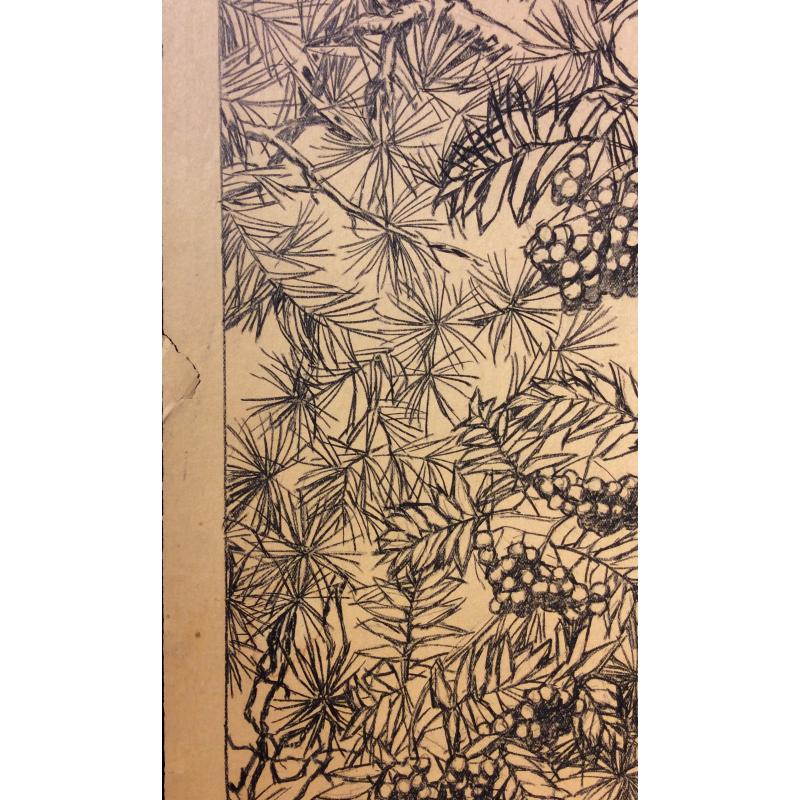 Ванеев П. И. Эскиз к литографии Рябина и сосна