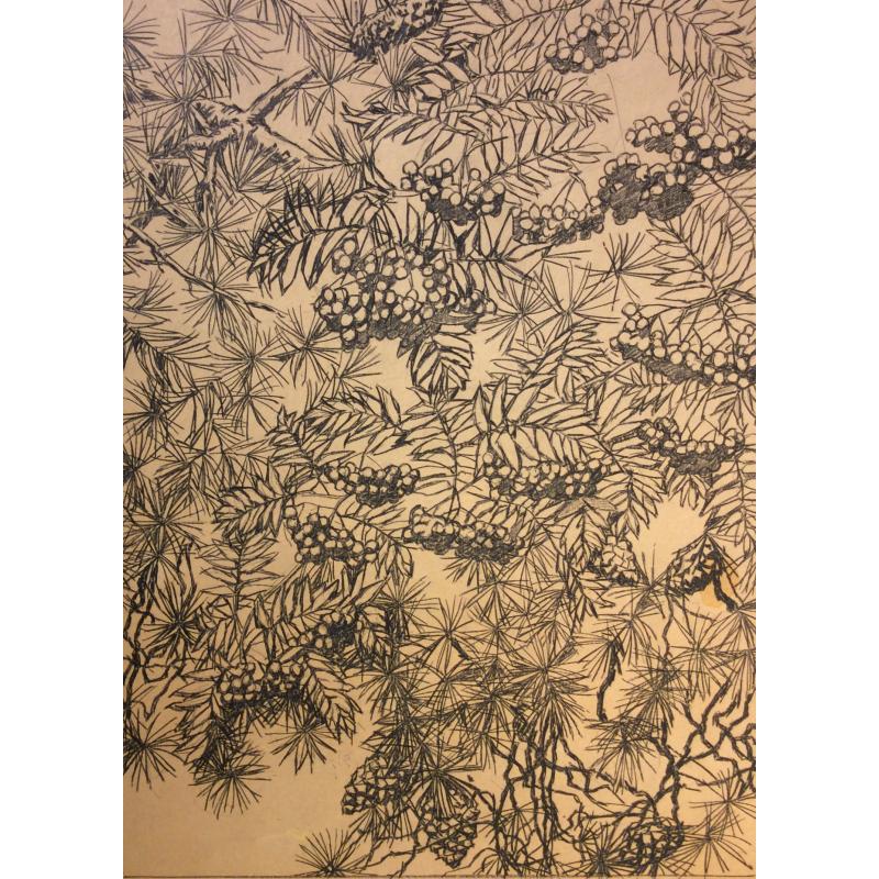 Ванеев П. И. Эскиз к литографии Рябина и сосна