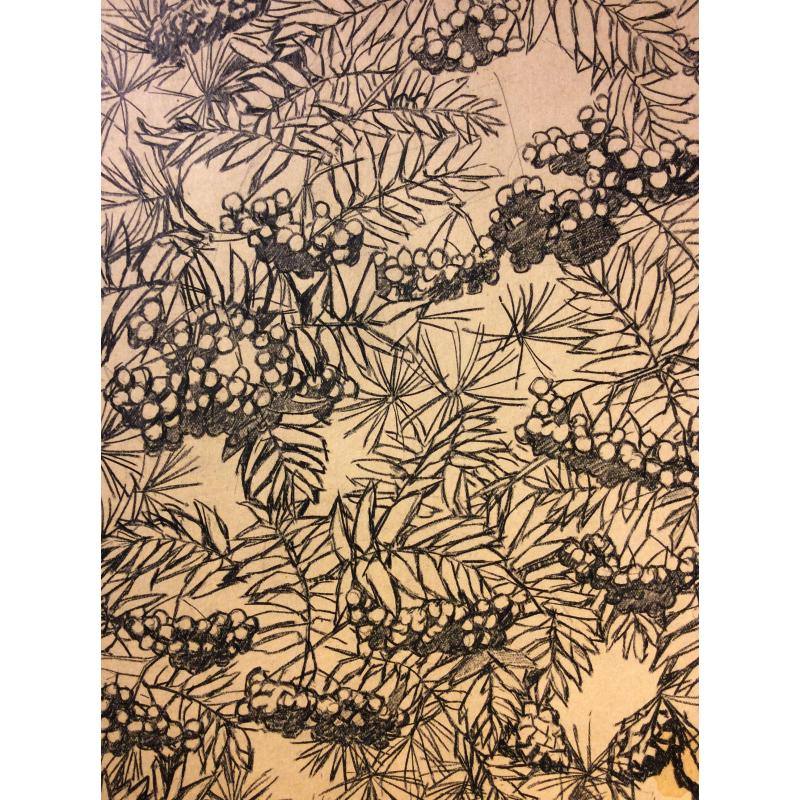 Ванеев П. И. Эскиз к литографии Рябина и сосна