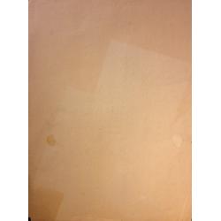 Ванеев П. И. Эскиз к литографии Рябина и сосна