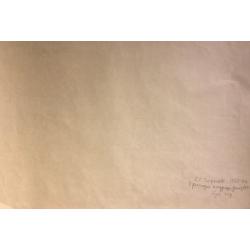 Зернова Е. С. Кричащая натурщица