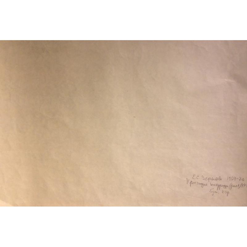 Зернова Е. С. Кричащая натурщица