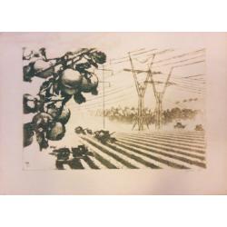 Ванеев П.И. Маршруты жатвы