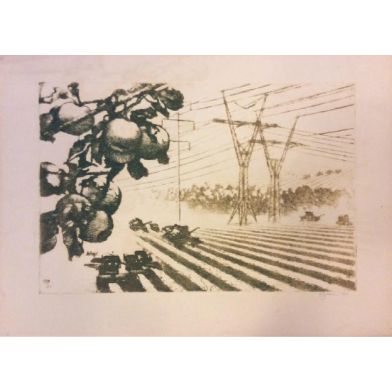 Ванеев П.И. Маршруты жатвы