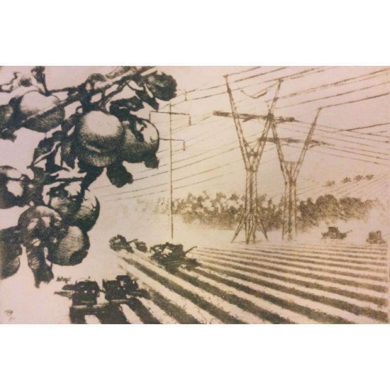 Ванеев П.И. Маршруты жатвы