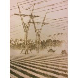 Ванеев П.И. Маршруты жатвы