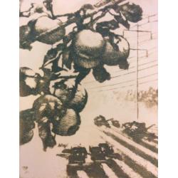 Ванеев П.И. Маршруты жатвы