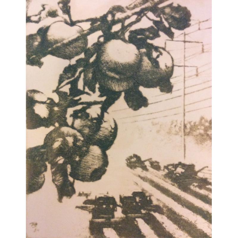 Ванеев П.И. Маршруты жатвы