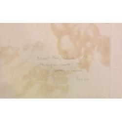 Ванеев П.И. Маршруты жатвы