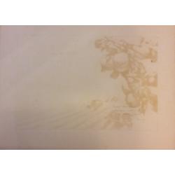 Ванеев П.И. Маршруты жатвы