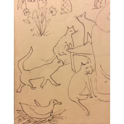 Барвенко В.П. Афины. Парк кошек