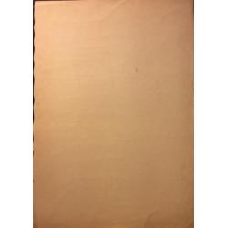 Барвенко В.П. Силуэт девушки