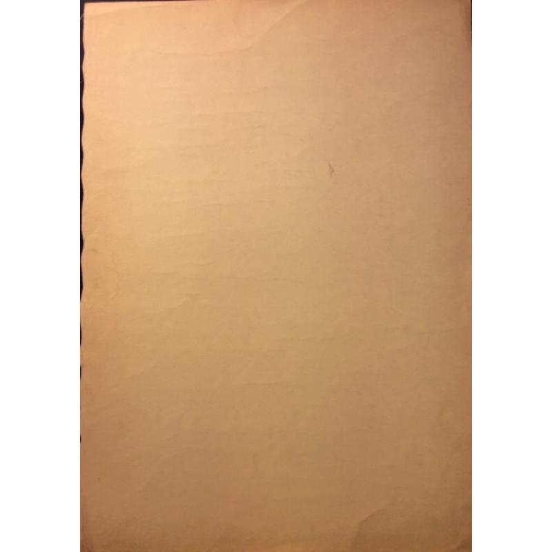 Барвенко В.П. Силуэт девушки