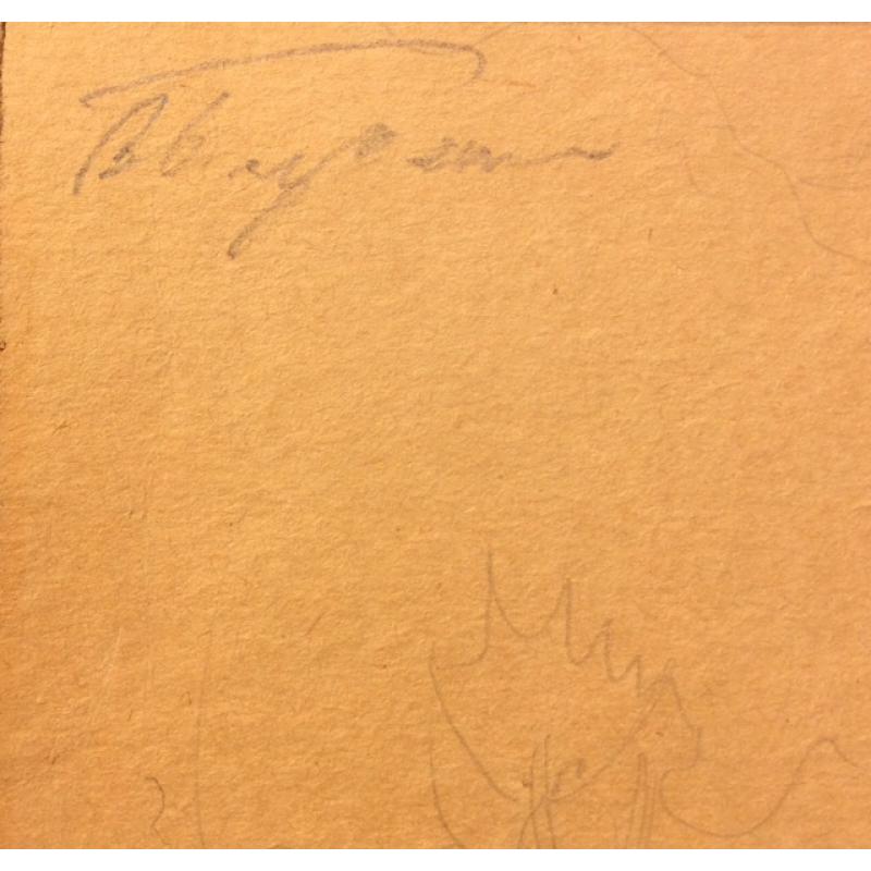 Барвенко В.П. Ведро и чугунок