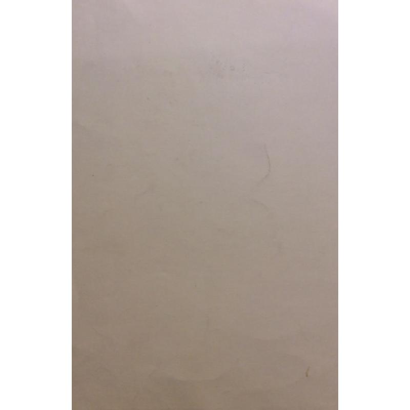 Расторгуев Е. А. Радуга