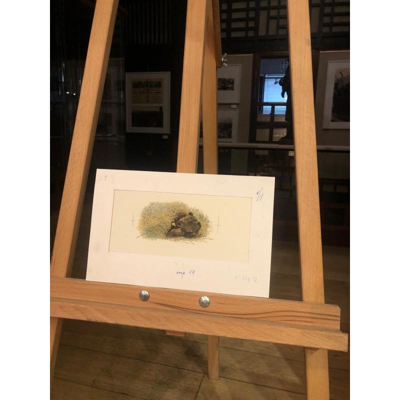 Зеброва Т.А. Тетеревиная тревога