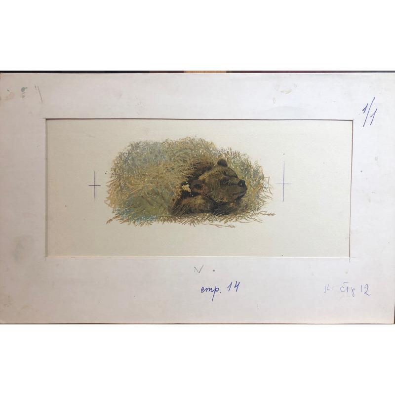 Зеброва Т.А. Тетеревиная тревога