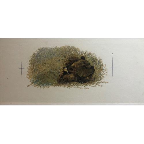 Зеброва Т.А. Тетеревиная тревога