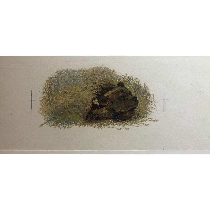 Зеброва Т.А. Тетеревиная тревога