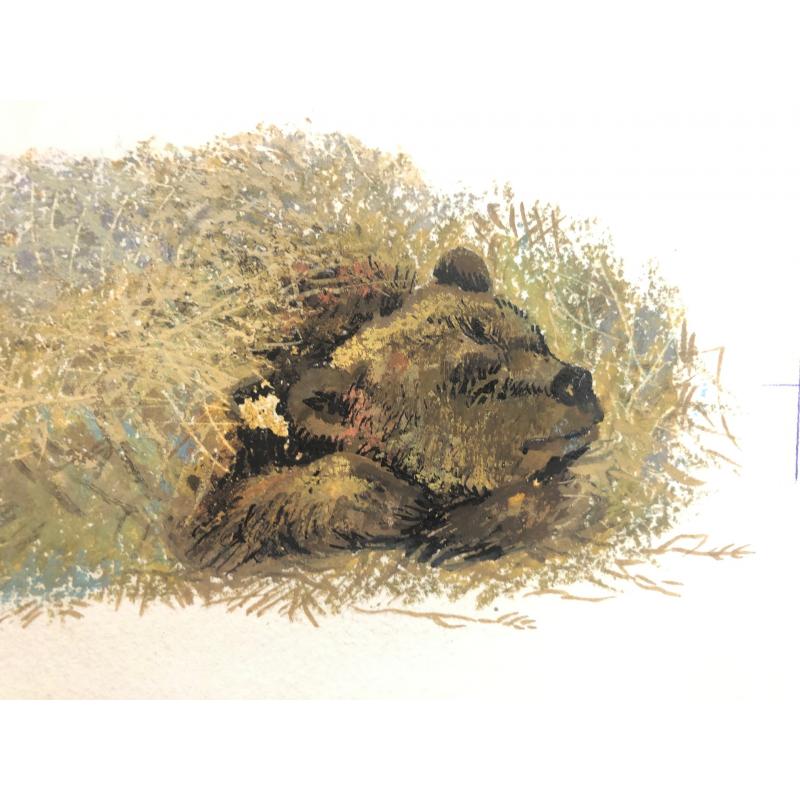 Зеброва Т.А. Тетеревиная тревога