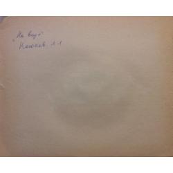 Лихачев В.Я., Винокуров А.В. На воде, фаза мультфильма