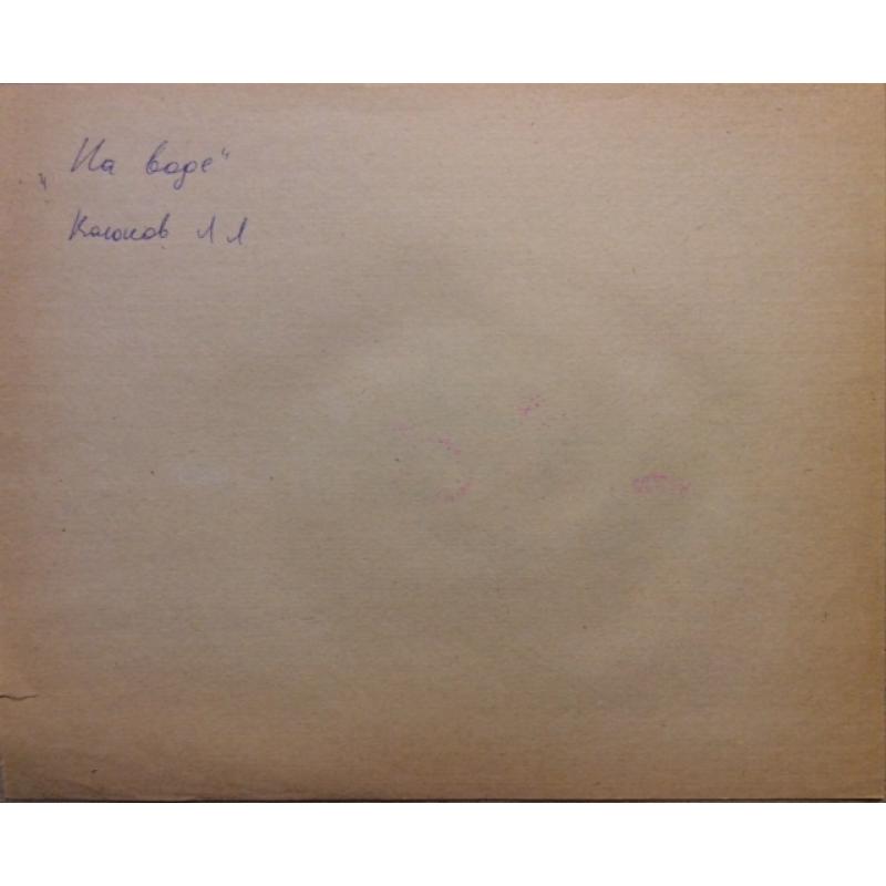 Лихачев В.Я., Винокуров А.В. На воде, фаза мультфильма