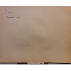 Колюшева Т.В. Чуффык , фаза мультфильма