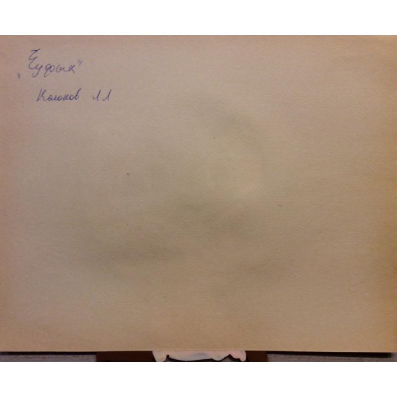 Колюшева Т.В. Чуффык , фаза мультфильма