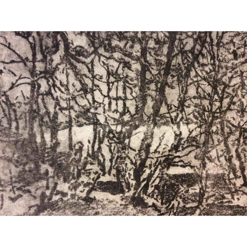 Ванеев П. И. Зимняя речка