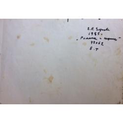 Зернова Е. С. Ромашки и георгины