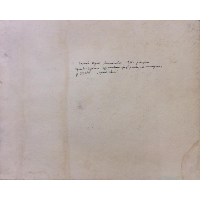 Скопов Ю.М. Лунный свет