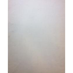 Барвенко В. П. Набросок. Без названия.