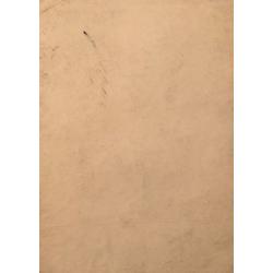 Васнецов А. В. Мужчина