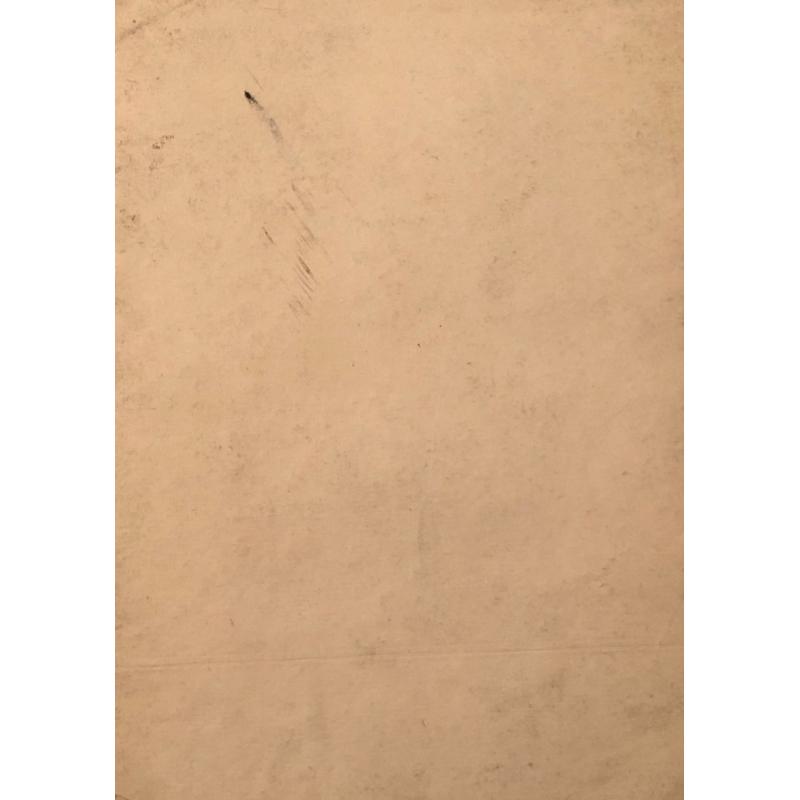 Васнецов А. В. Мужчина