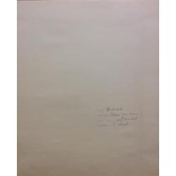 Зеброва Т. А. Иллюстрация к детской книге Буду как мама