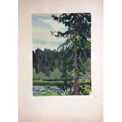 Красковский С. С. Ель