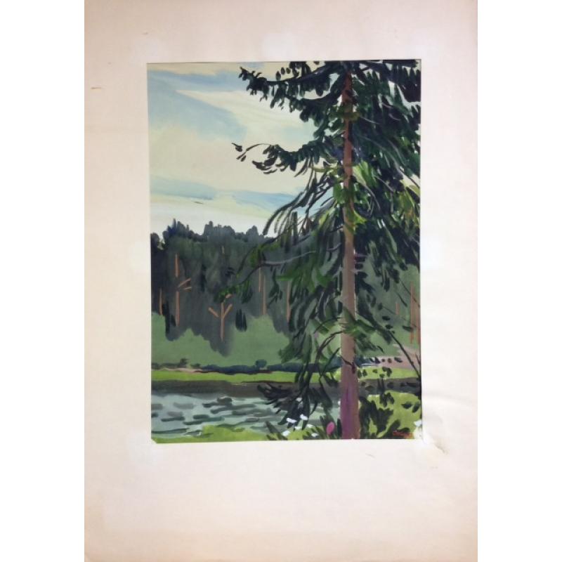 Красковский С. С. Ель