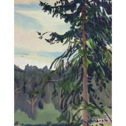 Красковский С. С. Ель