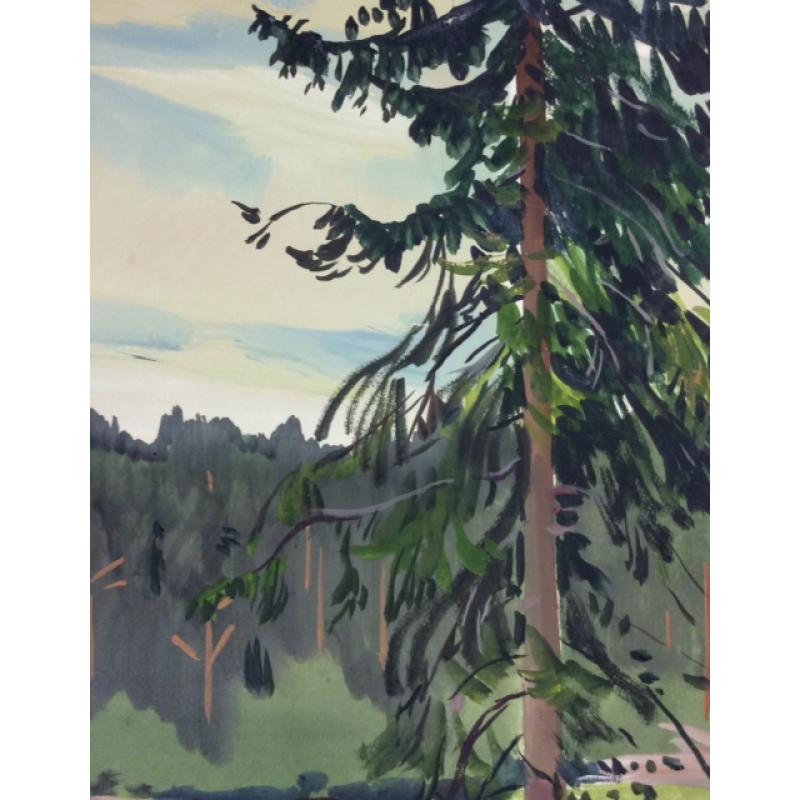 Красковский С. С. Ель