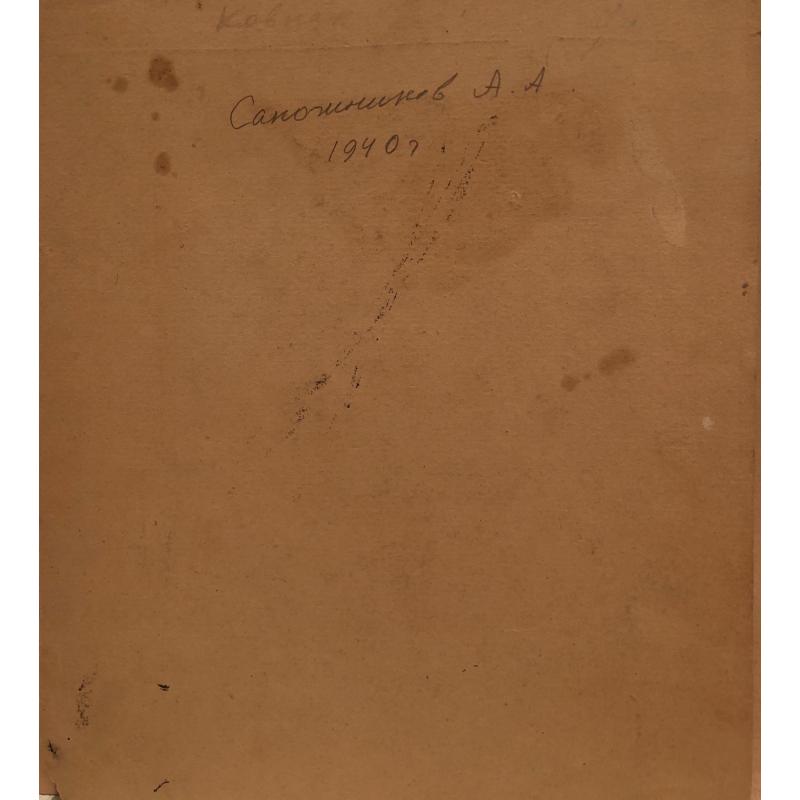 Сапожников А.А. Ковпак