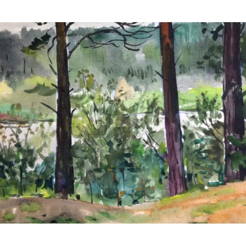 Красковский С. С. Сосны