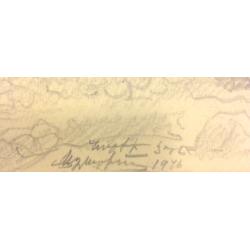 Степанян С.Л. Дом в селении