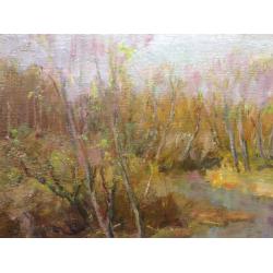 Васин В. А. Гуси