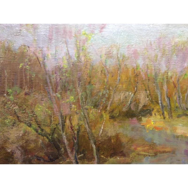 Васин В. А. Гуси