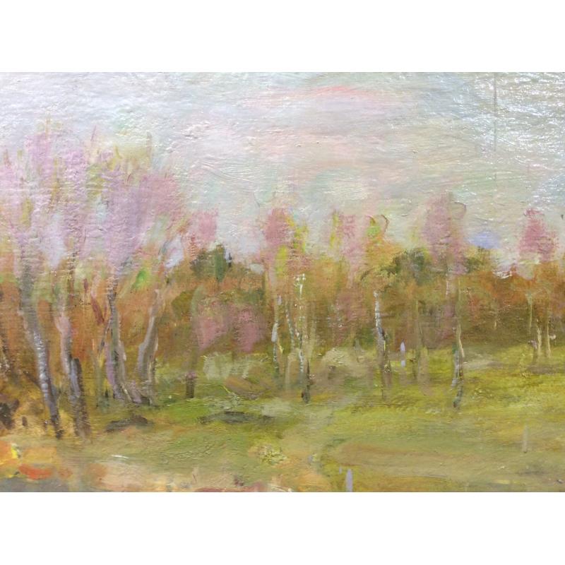 Васин В. А. Гуси