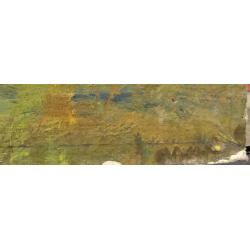 Васин В. А. Гуси