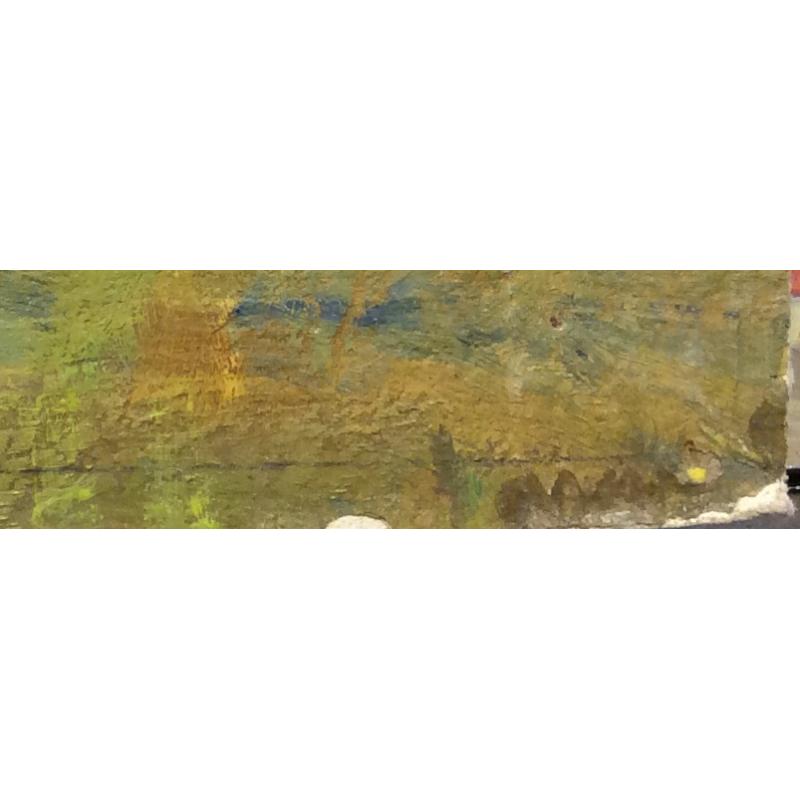 Васин В. А. Гуси