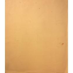 Барвенко В. П. Девушка с хвостиком