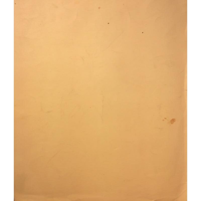 Барвенко В. П. Девушка с хвостиком